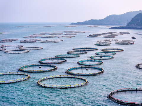 南麂岛海上养殖风光