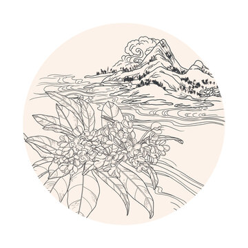国潮桂花山水插画