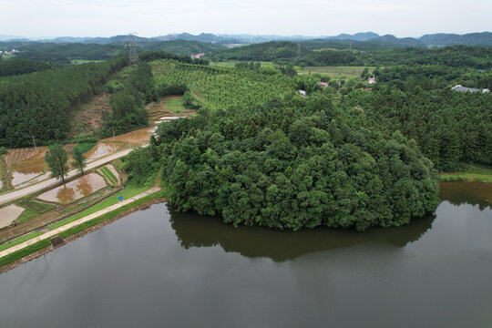 青山绿水