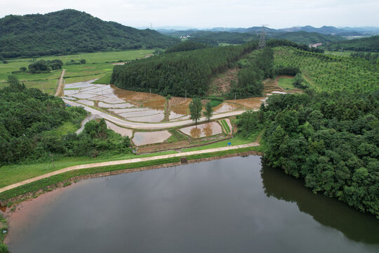 水库良田核桃山