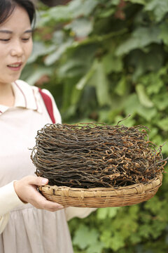 干豆角