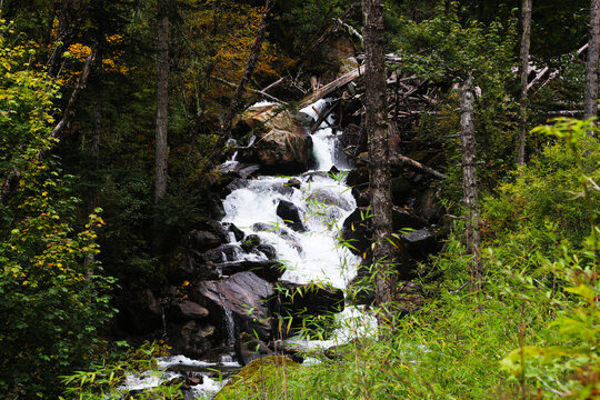 高山溪流