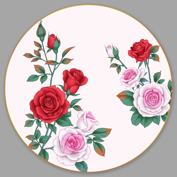 玫瑰花