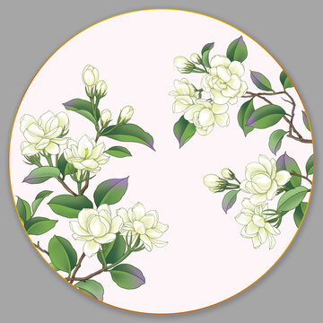 茉莉花