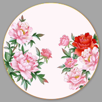 芍药花