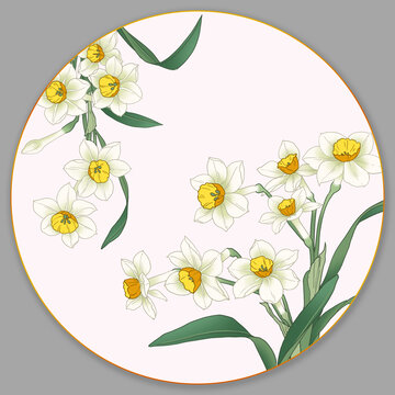 水仙花