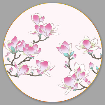 玉兰花