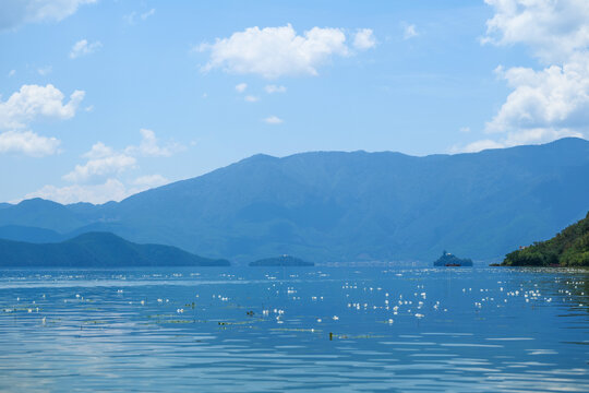 泸沽湖水性杨花