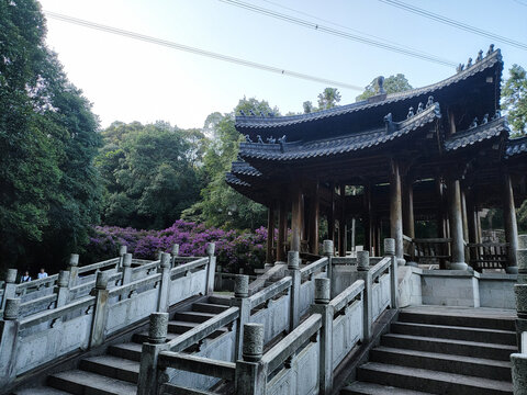 上金贝