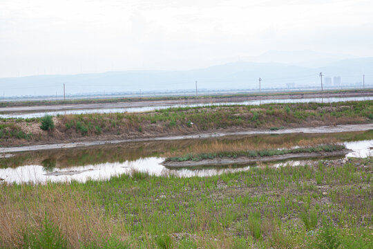 盐湖