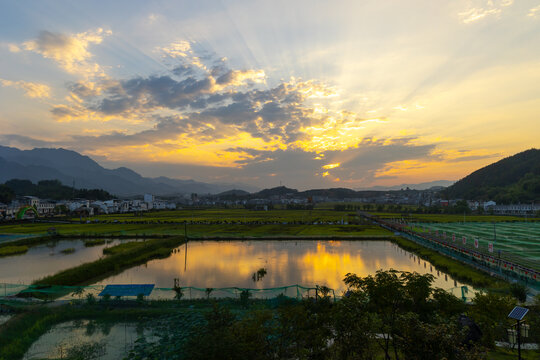 中峰贡米落霞