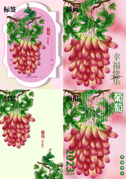 插画葡萄包装