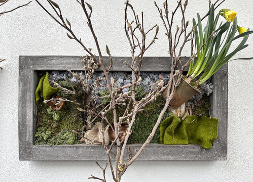 植物立体画
