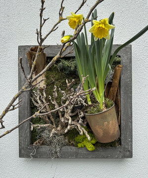 植物立体画
