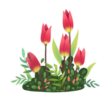 郁金香花丛