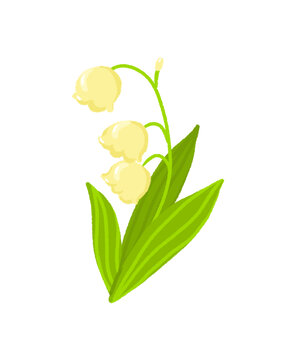 春日铃兰花插画