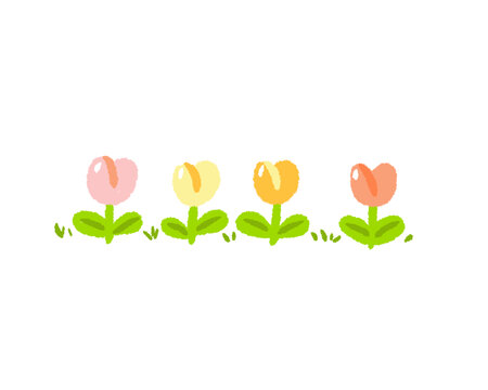 春天郁金香花朵手绘花边边框
