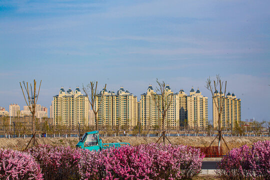大庆市容