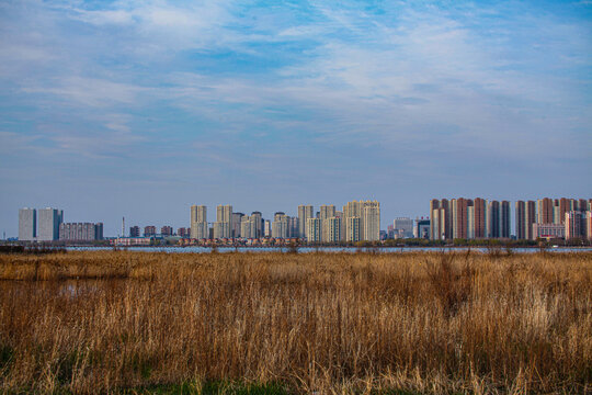 大庆湿地