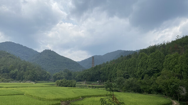 田园