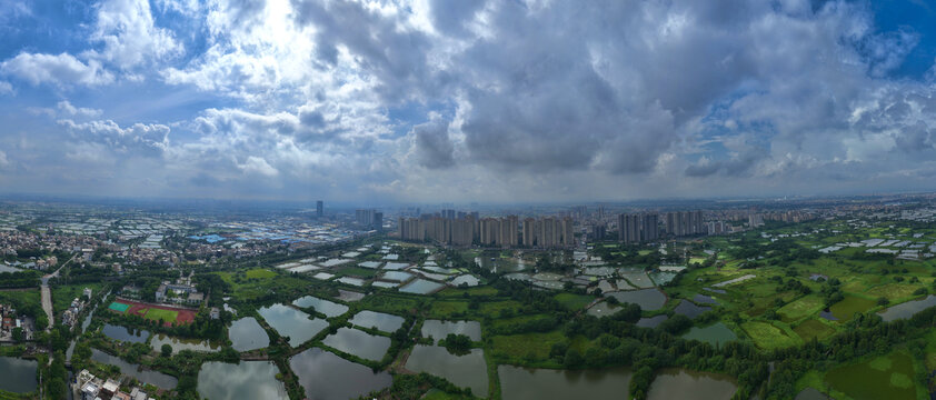 顺德美丽乡村杏坛桑麻村全景