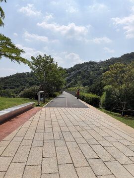 厦门植物园公园步道