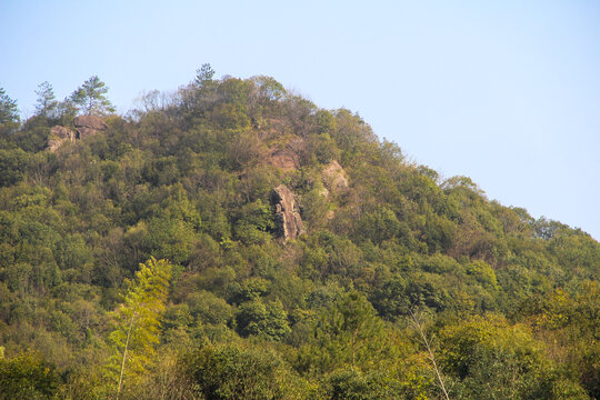 山顶风光