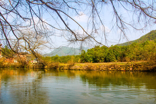 池塘美景
