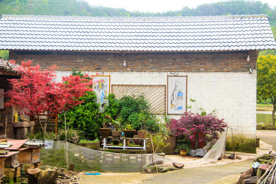 农村小院
