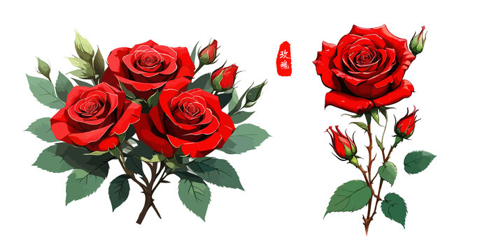玫瑰