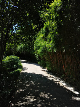 鸿恩寺林间步道