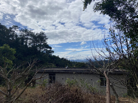 树木掩映下的农村房子