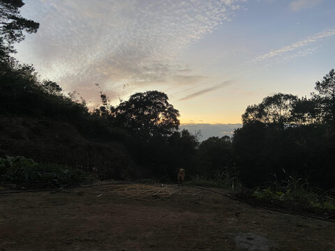 夕阳下的农村