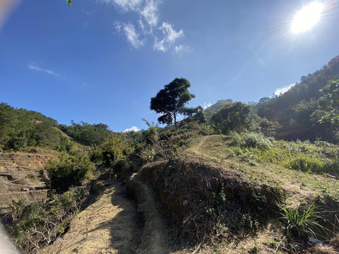 山村风景