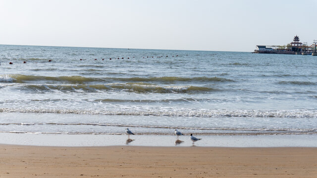 海边