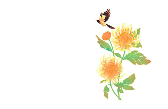 秋菊