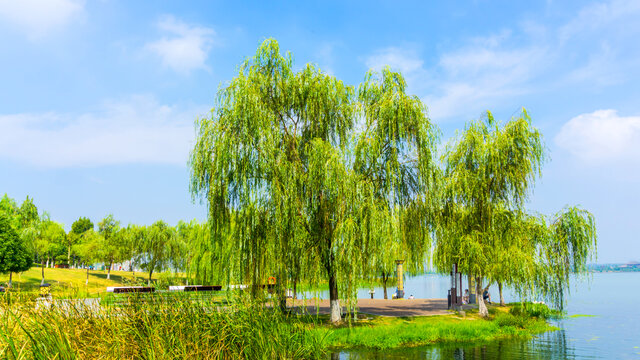碧水蓝天景观