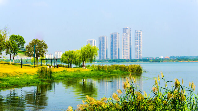 碧水蓝天景观
