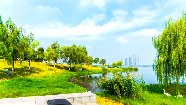碧水蓝天景观