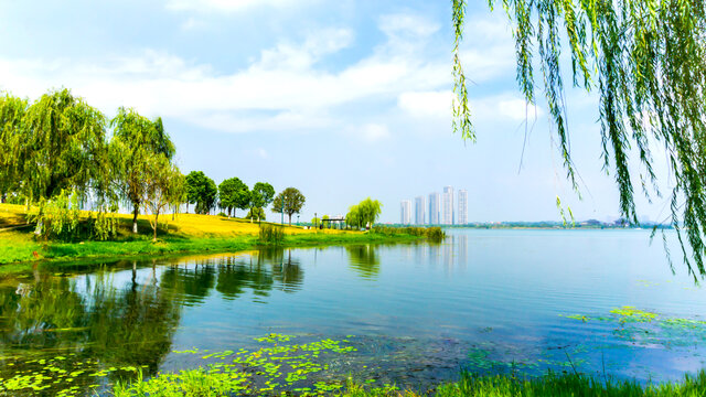 碧水蓝天景观