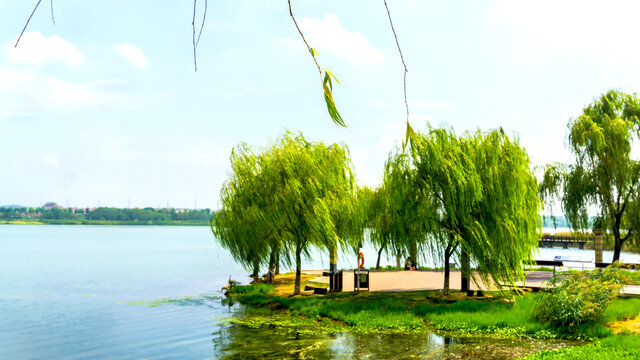 碧水蓝天松雅湖