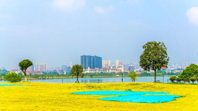 松雅湖碧水