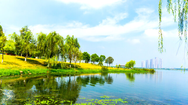 松雅湖碧水