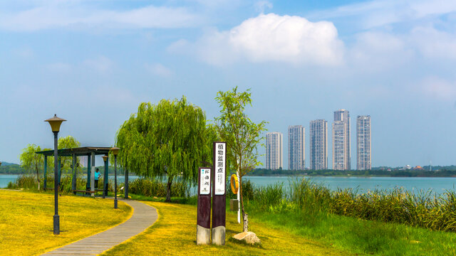 松雅湖碧水