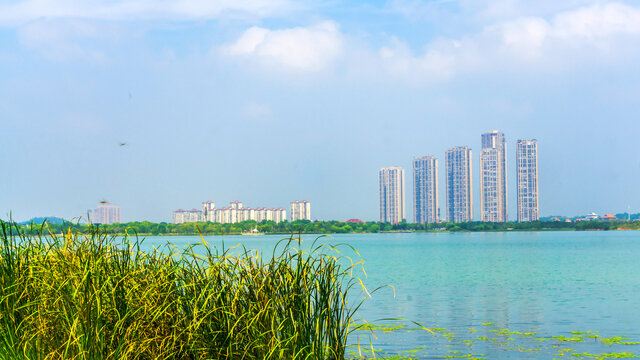 松雅湖风采