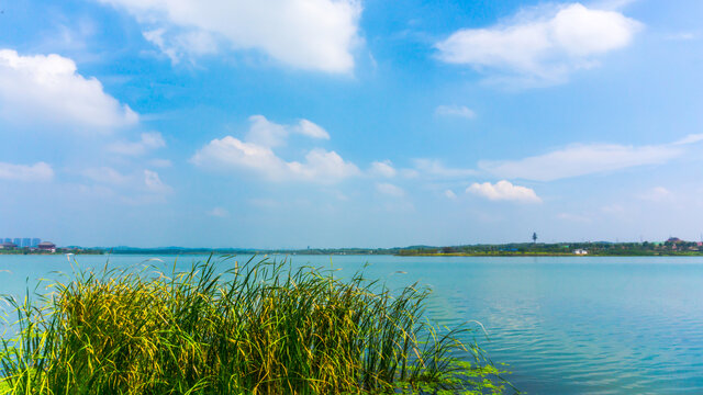 松雅湖风采