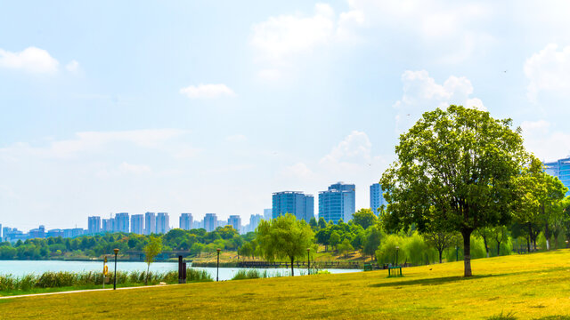 松雅湖畔风景