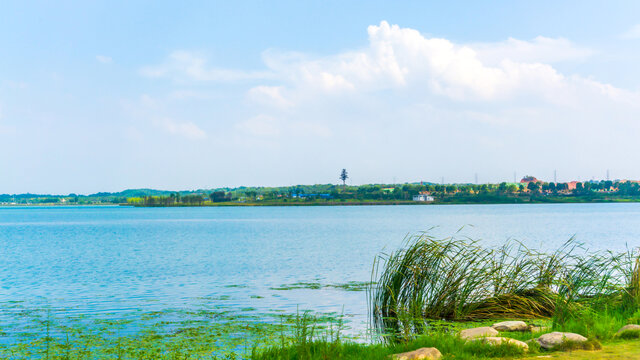 松雅湖畔风景