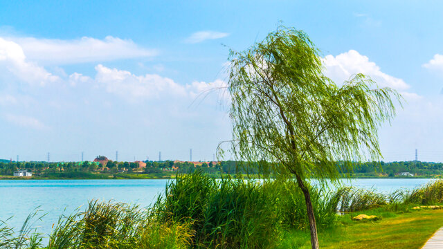松雅湖畔风景