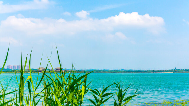 松雅湖风采